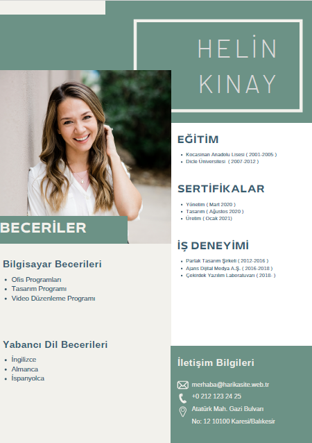 CV 17 - Professional Resume Template - Editable & Modern Design