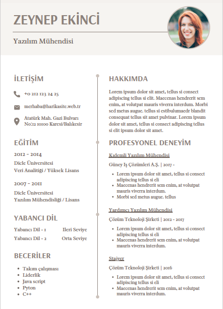 CV 1 - Professional Resume Template - Editable & Modern Design