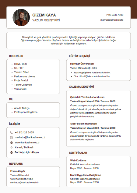 CV 8 - Professional Resume Template - Editable & Modern Design