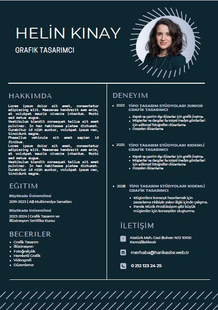 CV 12 - Professional Resume Template - Editable & Modern Design