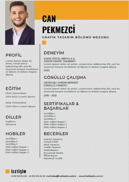 CV 9 - Professional Resume Template - Editable & Modern Design